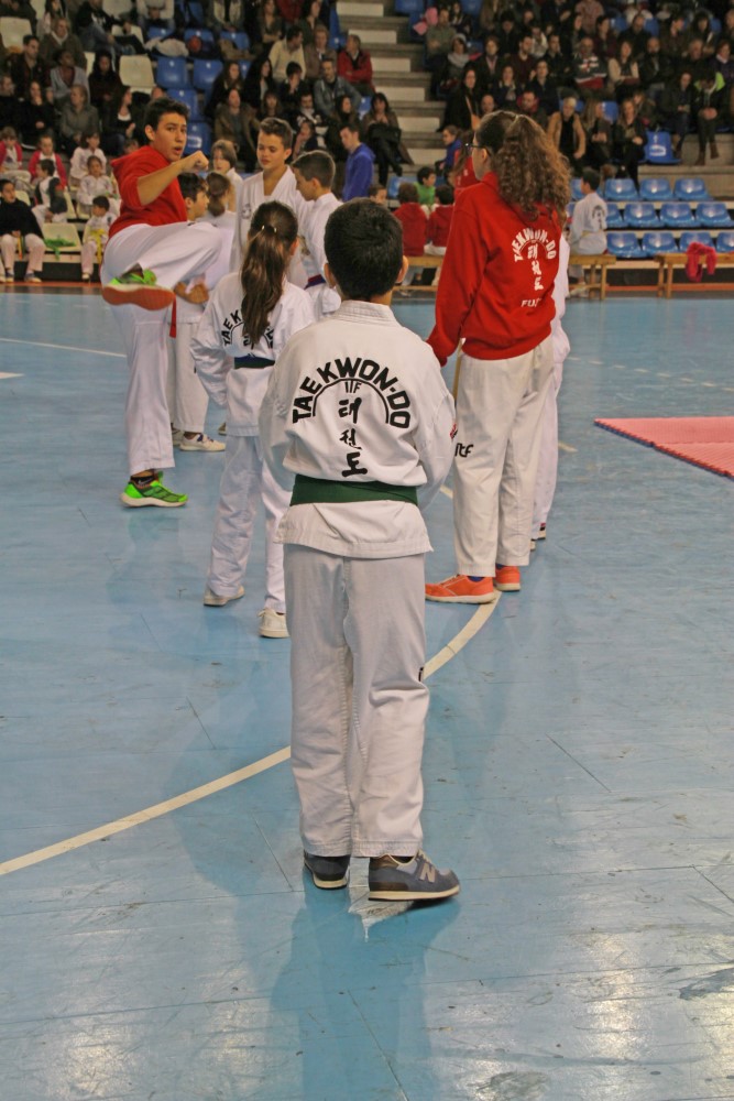 Taekwondo Dic 2016 (169).jpg